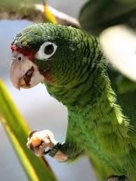 Foto 7